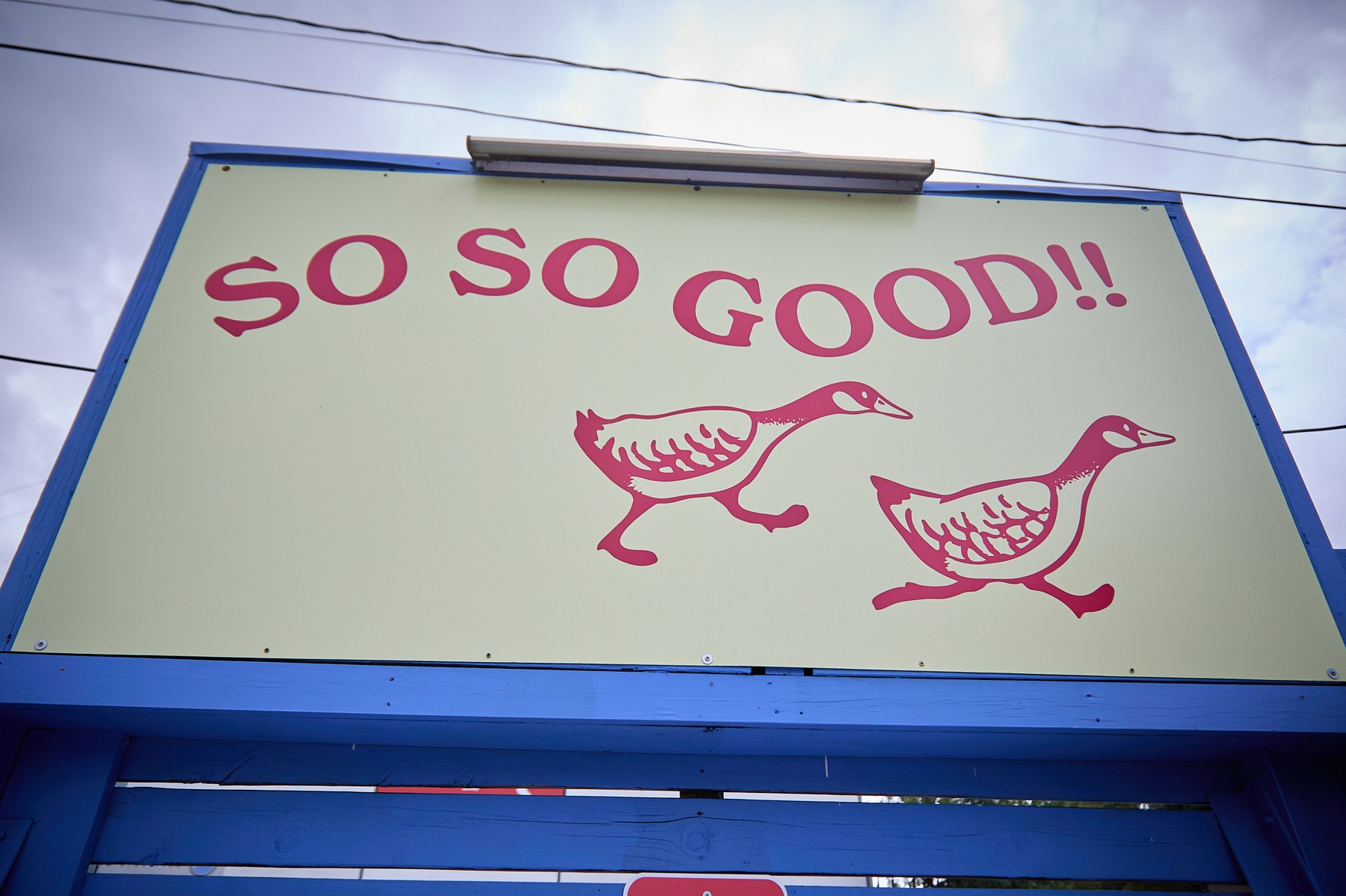 SO SO GOOD!! hand-painted sign with two pink geese